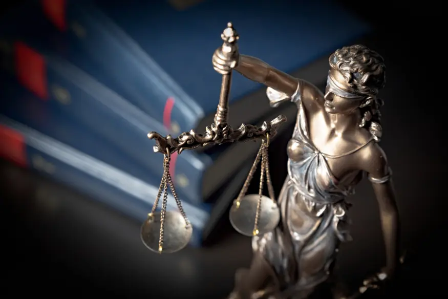 Litigio en Cortes Constitucionales